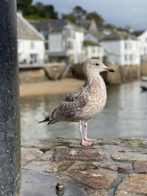 Marners Rock No 1 Appartement Fowey Buitenkant foto